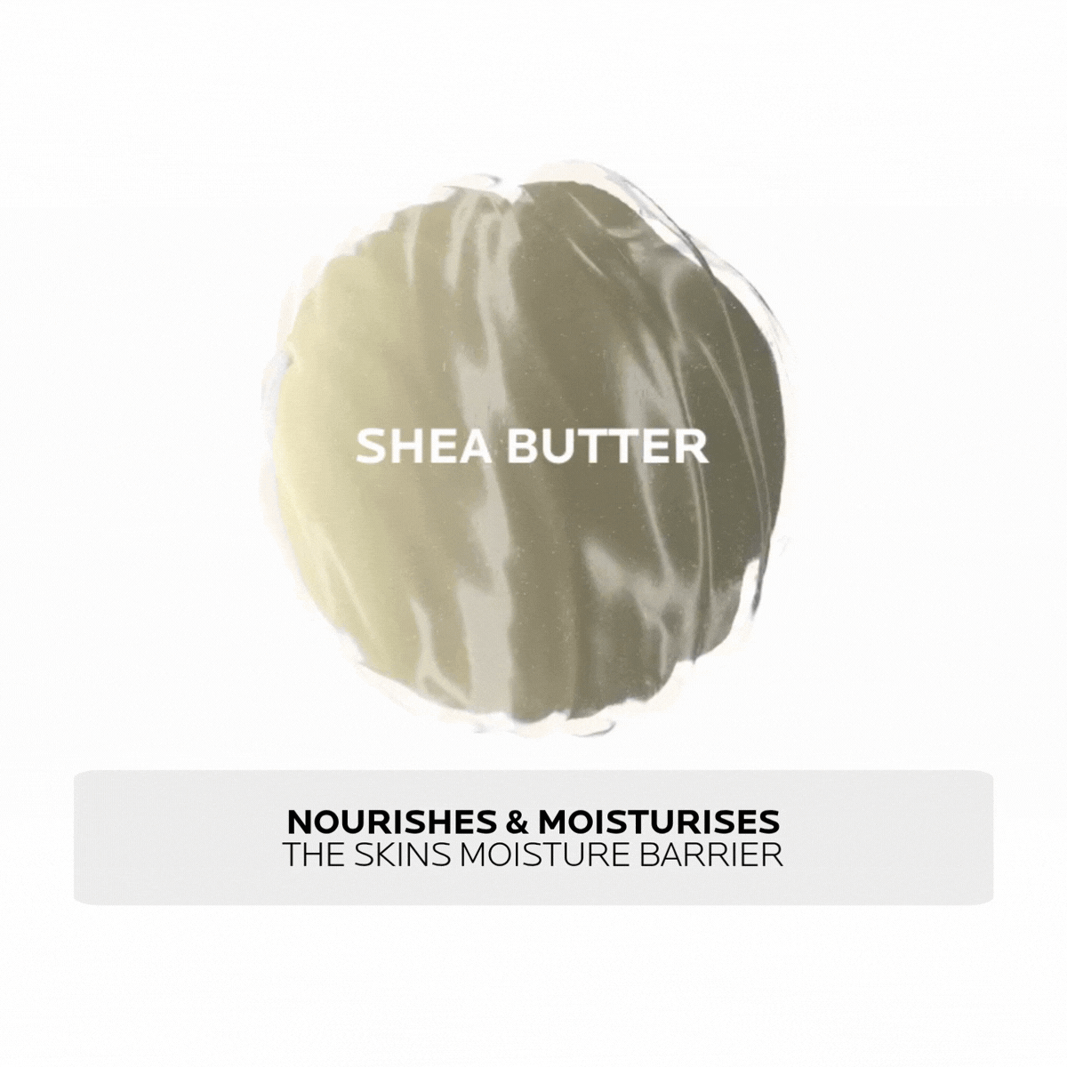 Shea_Butter